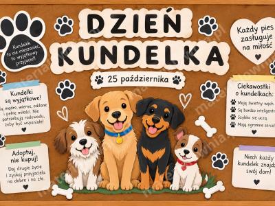 🐾❤️ Gazetka na Dzień Kundelka ❤️🐾